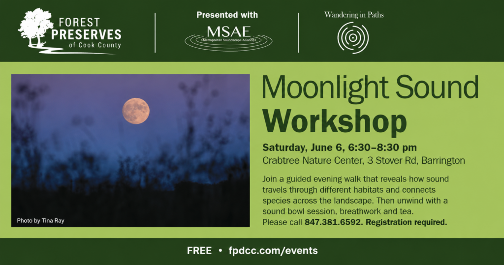 Moonlight Sound Workshop